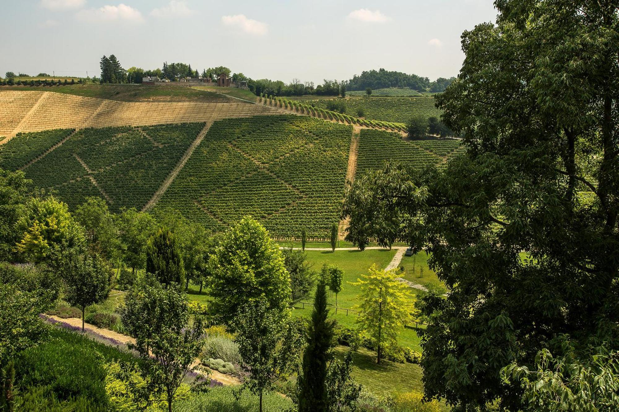 Relais Di Tenuta Santa Caterina B&B Grazzano Badoglio Стая снимка